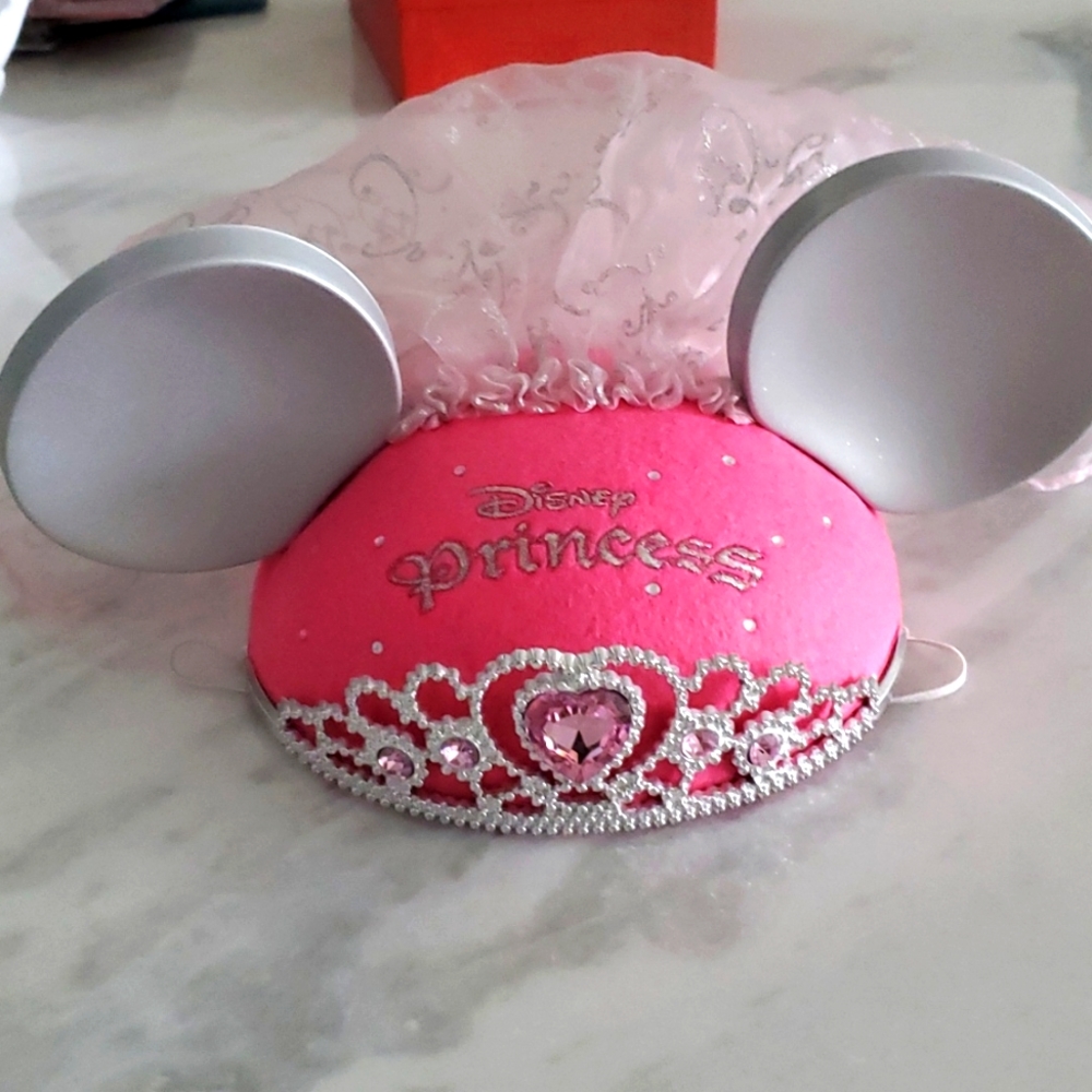 Lori Disney Princess ears
